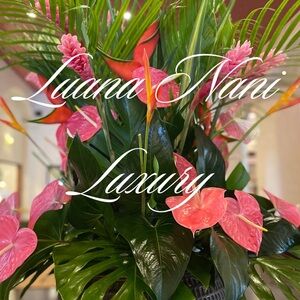 @lvfitmama Live Show Tag List